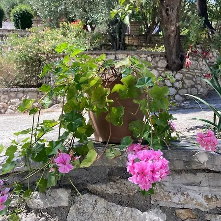 Aliki's Comfortable Holiday Apartments-great Location Apartment *