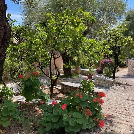 Apartment Aliki's Comfortable Holiday Apartments-great Location Nisaki (Corfu)