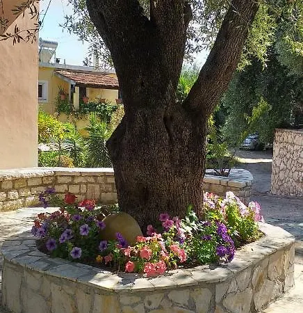 Aliki's Comfortable Holiday Apartments-great Location * Nisaki (Corfu)