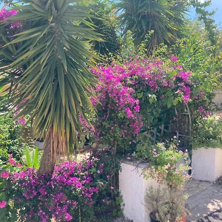 Aliki's Comfortable Holiday Apartments-great Location * Niszáki